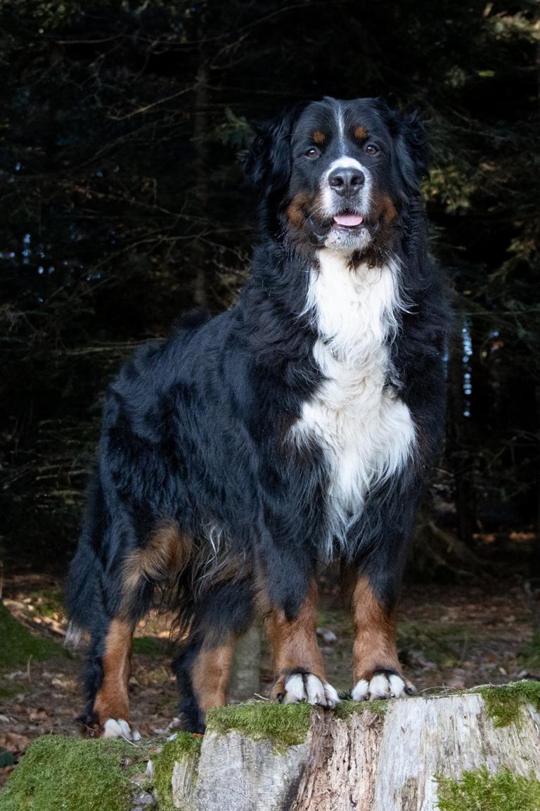 K1024_OKI VON DER LONDORFER KAPELLE